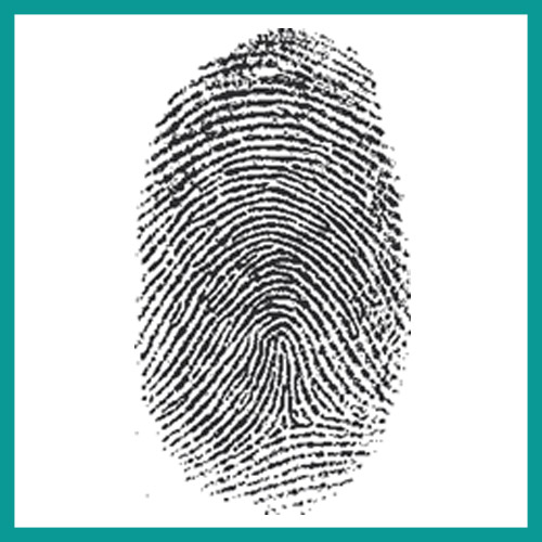 What Is a Fingerprint? Definition, Types, Trends (2024)